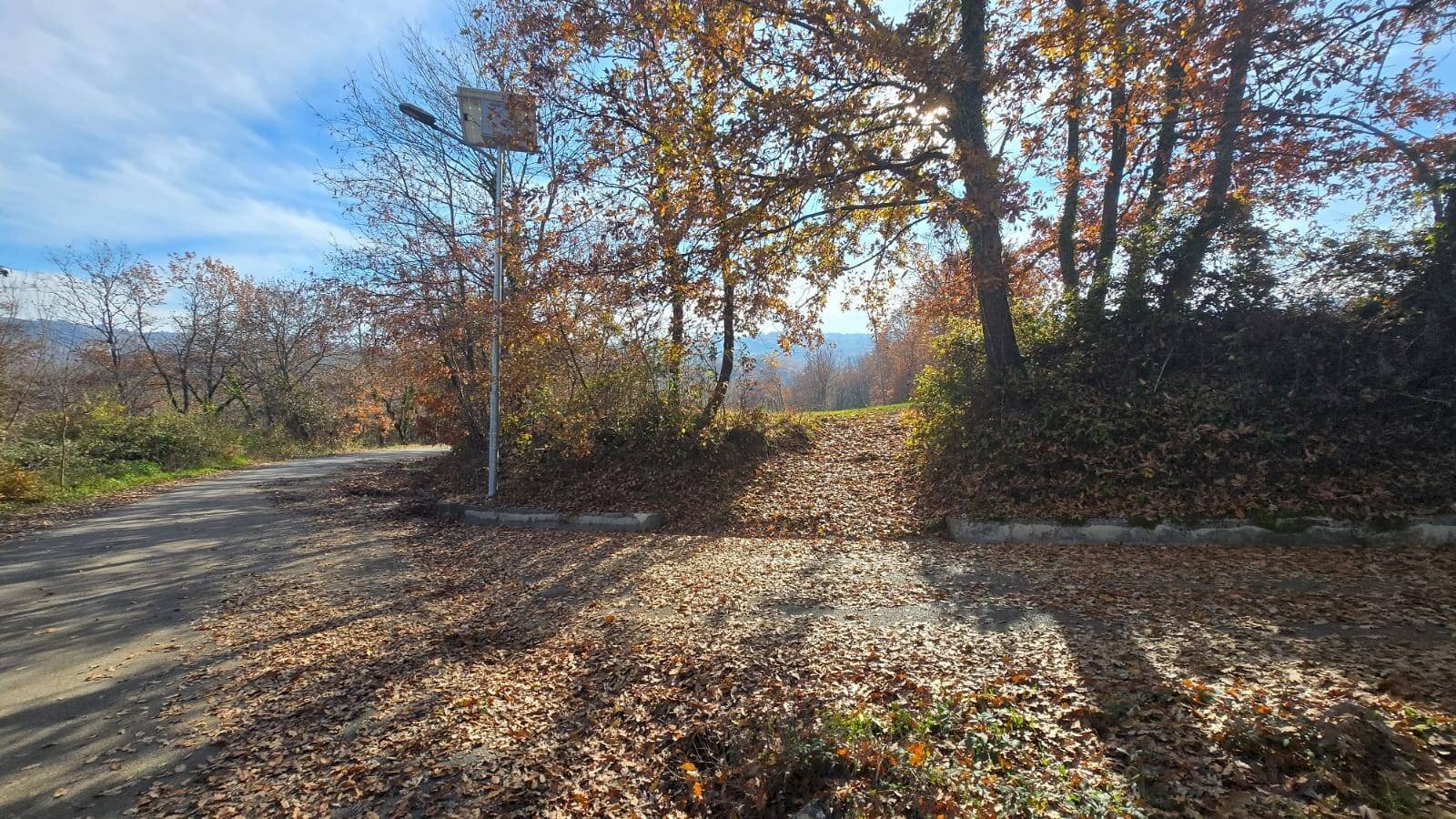 Foto 2 - Terreno agricolo C/da Cipollara, Castelvetere sul Calore - foto 2