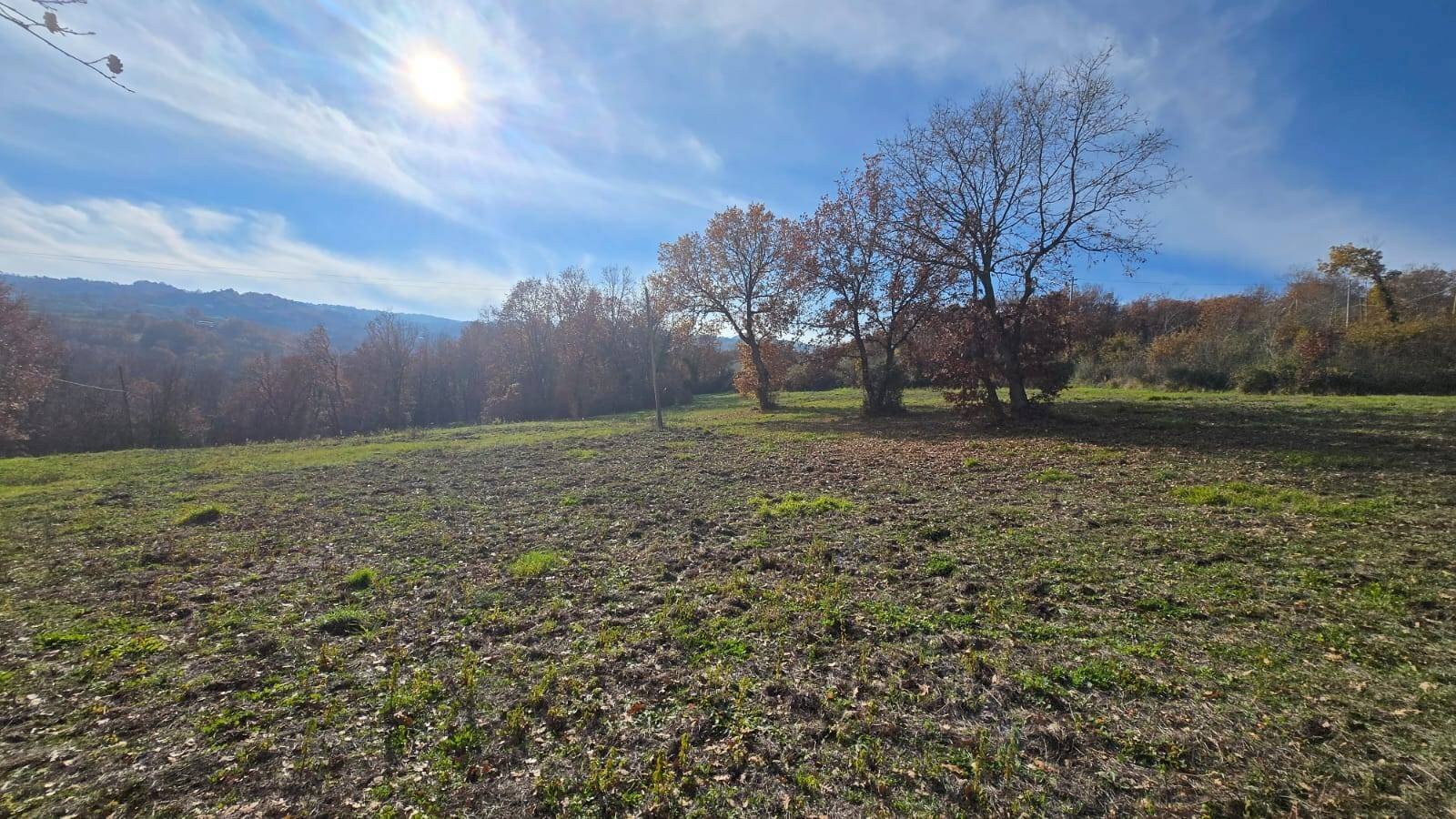 Foto 3 - Terreno agricolo C/da Cipollara, Castelvetere sul Calore - foto 3