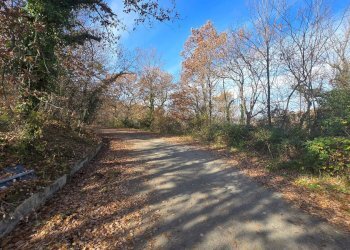 Foto 1 - Terreno agricolo C/da Cipollara, Castelvetere sul Calore - foto 1