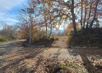 Foto 2 - Terreno agricolo C/da Cipollara, Castelvetere sul Calore - foto 2