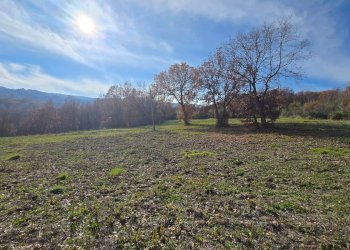 Foto 3 - Terreno agricolo C/da Cipollara, Castelvetere sul Calore - foto 3