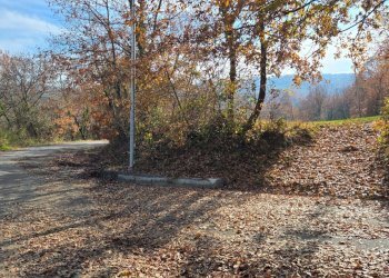 Foto 6 - Terreno agricolo C/da Cipollara, Castelvetere sul Calore - foto 6