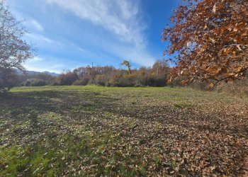 Foto 8 - Terreno agricolo C/da Cipollara, Castelvetere sul Calore - foto 8