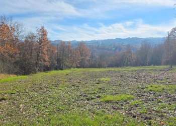 Foto 11 - Terreno agricolo C/da Cipollara, Castelvetere sul Calore - foto 11