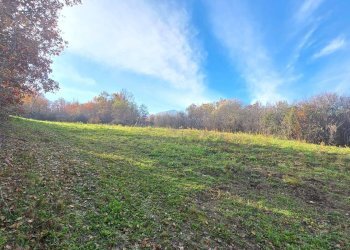 Foto 14 - Terreno agricolo C/da Cipollara, Castelvetere sul Calore - foto 14