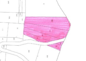 Foto 15 - Terreno agricolo C/da Cipollara, Castelvetere sul Calore - foto 15