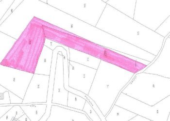 Foto 16 - Terreno agricolo C/da Cipollara, Castelvetere sul Calore - foto 16