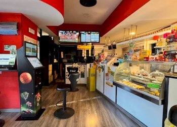 Foto 15 - Attività Commerciale via faleriense, Montegiorgio - foto 15