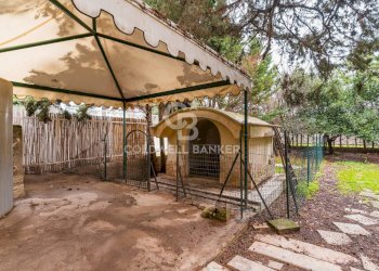 Foto 10 - Villa Via antonio labianca
 
37, Adelfia - foto 10