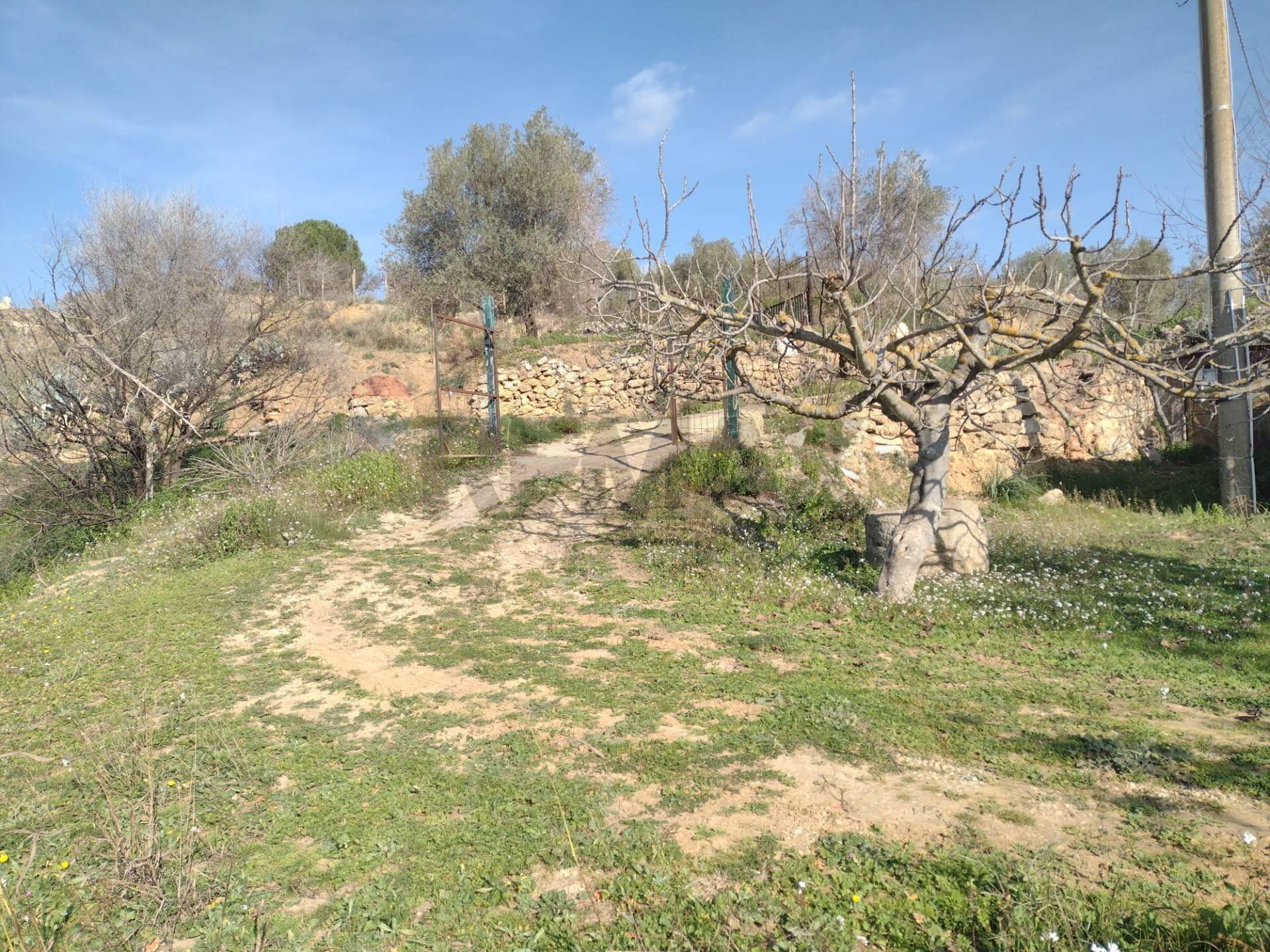 Giardino - Rustico C.da Gatta, Piazza Armerina - foto 1