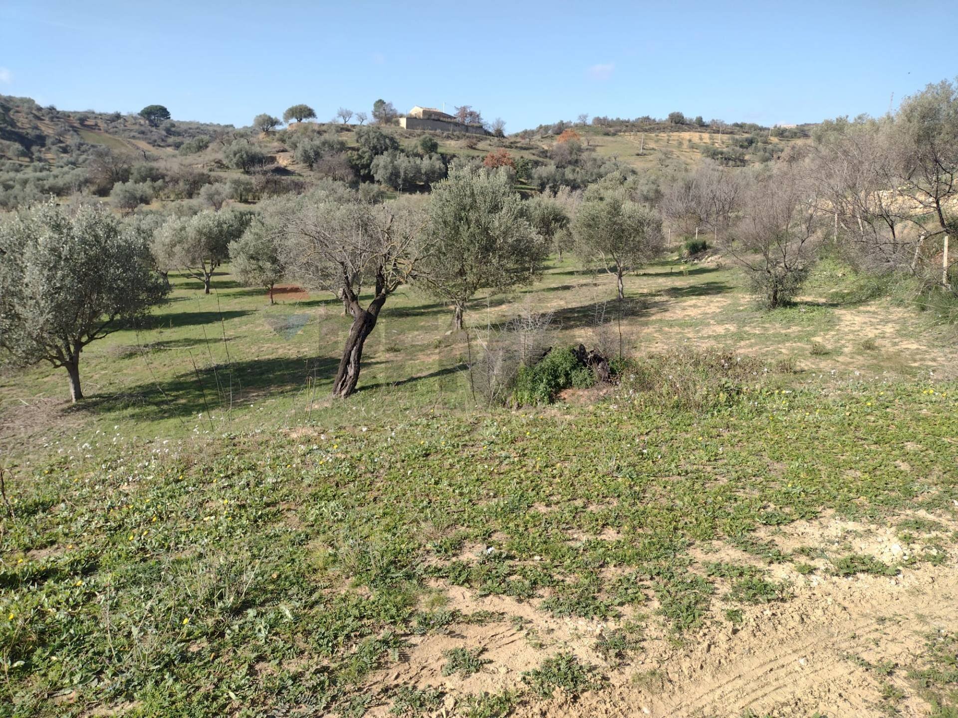 Vista delle montagne - Rustico C.da Gatta, Piazza Armerina - foto 3