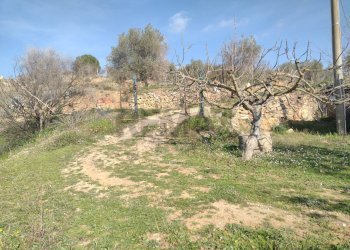 Giardino - Rustico C.da Gatta, Piazza Armerina - foto 1