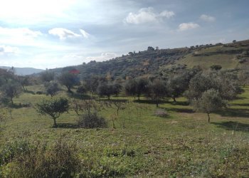 Vista delle montagne - Rustico C.da Gatta, Piazza Armerina - foto 2