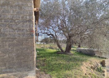 Giardino - Rustico C.da Gatta, Piazza Armerina - foto 9