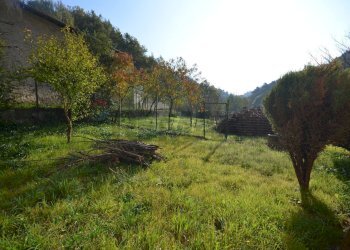 Giardino - Casa semi indipendente strada Eirola
 
4, Dego - foto 2