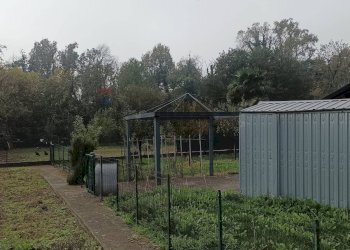 Giardino - Quadrilocale Filago - foto 15