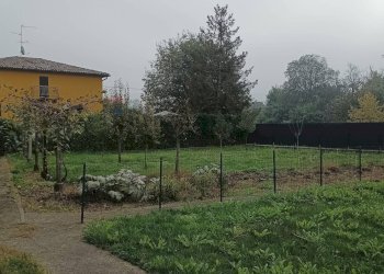 Giardino - Quadrilocale Filago - foto 16