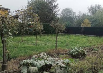 Giardino - Quadrilocale Filago - foto 49