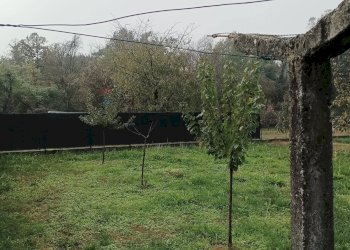 Giardino - Quadrilocale Filago - foto 51