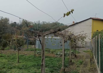 Giardino - Quadrilocale Filago - foto 54