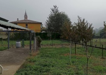 Giardino - Quadrilocale Filago - foto 58