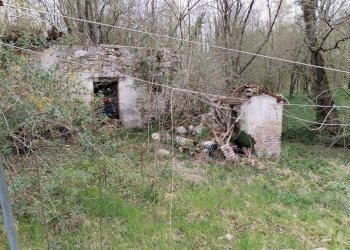 Giardino - Casa indipendente Via Orzes
 
29, Belluno - foto 17