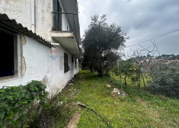 Giardino - Appartamento Località Defensola
 
63, Vieste - foto 6