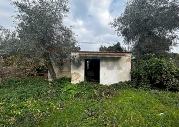 Casa all\'aperto - Appartamento Località Defensola
 
63, Vieste - foto 7