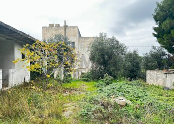 Giardino - Appartamento Località Defensola
 
63, Vieste - foto 8