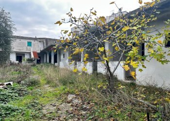 Giardino - Appartamento Località Defensola
 
63, Vieste - foto 10