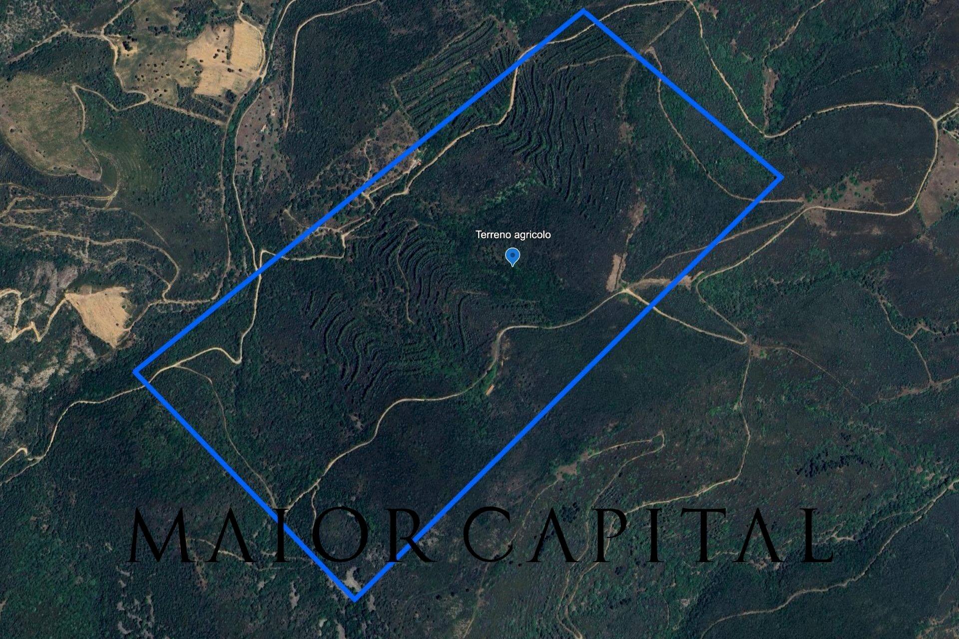 Foto 1 - Agricultural land Via Schifoni, San Teodoro - photo 1