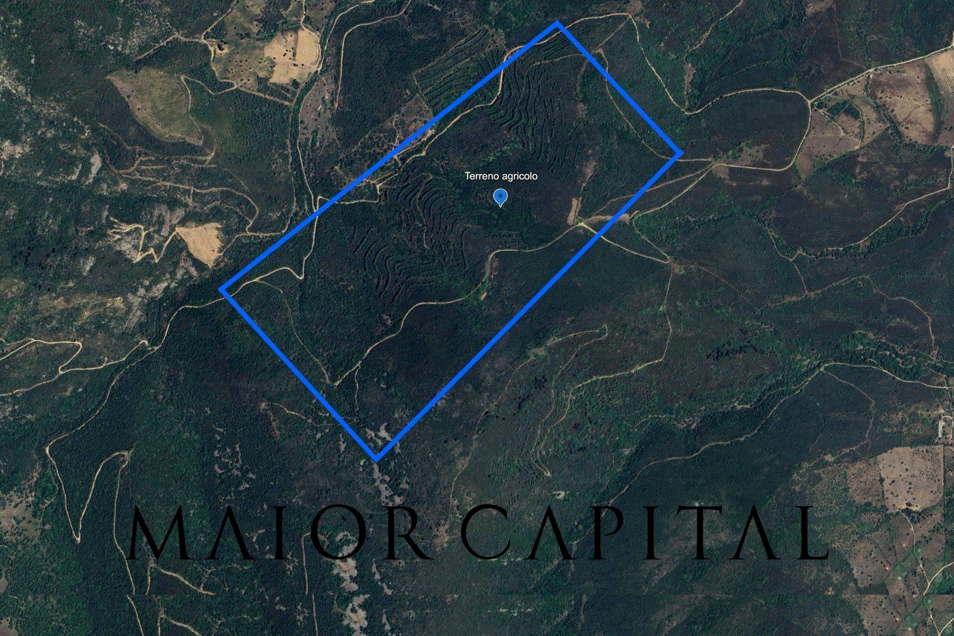 Foto 2 - Agricultural land Via Schifoni, San Teodoro - photo 2