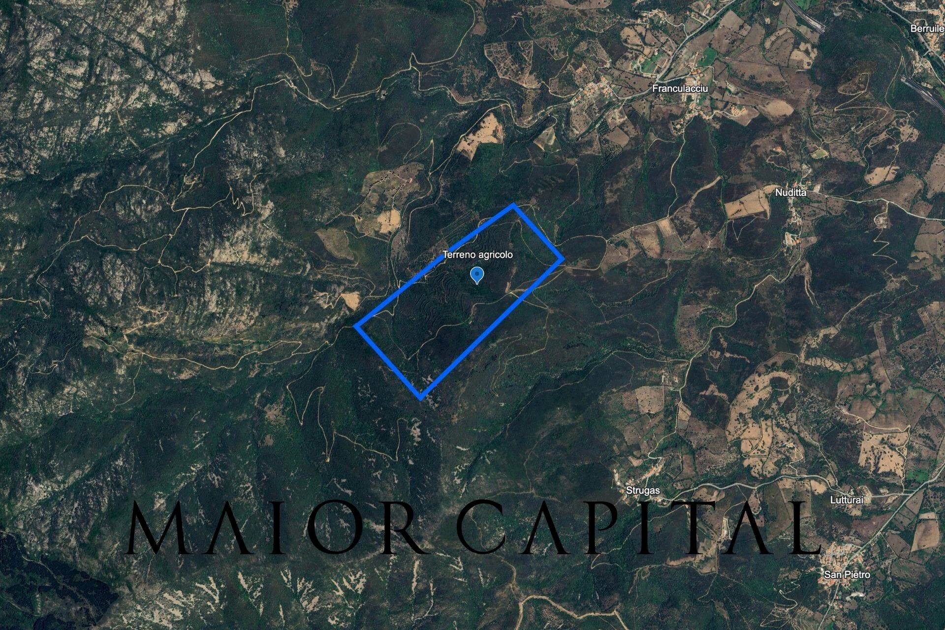 Foto 3 - Agricultural land Via Schifoni, San Teodoro - photo 3