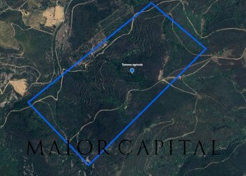 Foto 1 - Terreno agricolo Via Schifoni, San Teodoro - foto 1