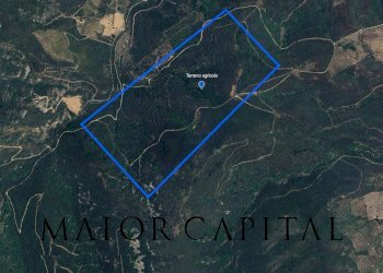 Foto 2 - Terreno agricolo Via Schifoni, San Teodoro - foto 2