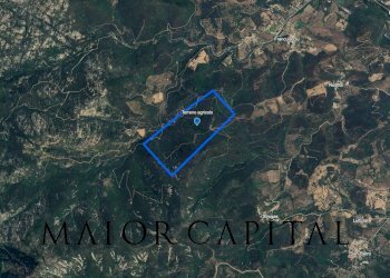 Foto 3 - Terreno agricolo Via Schifoni, San Teodoro - foto 3