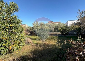 Giardino - Villa Via IV Novembre I traversa
 
10, Carinola - foto 6