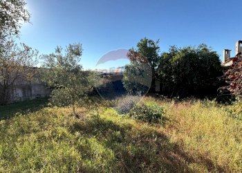 Giardino - Villa Via IV Novembre I traversa
 
10, Carinola - foto 8