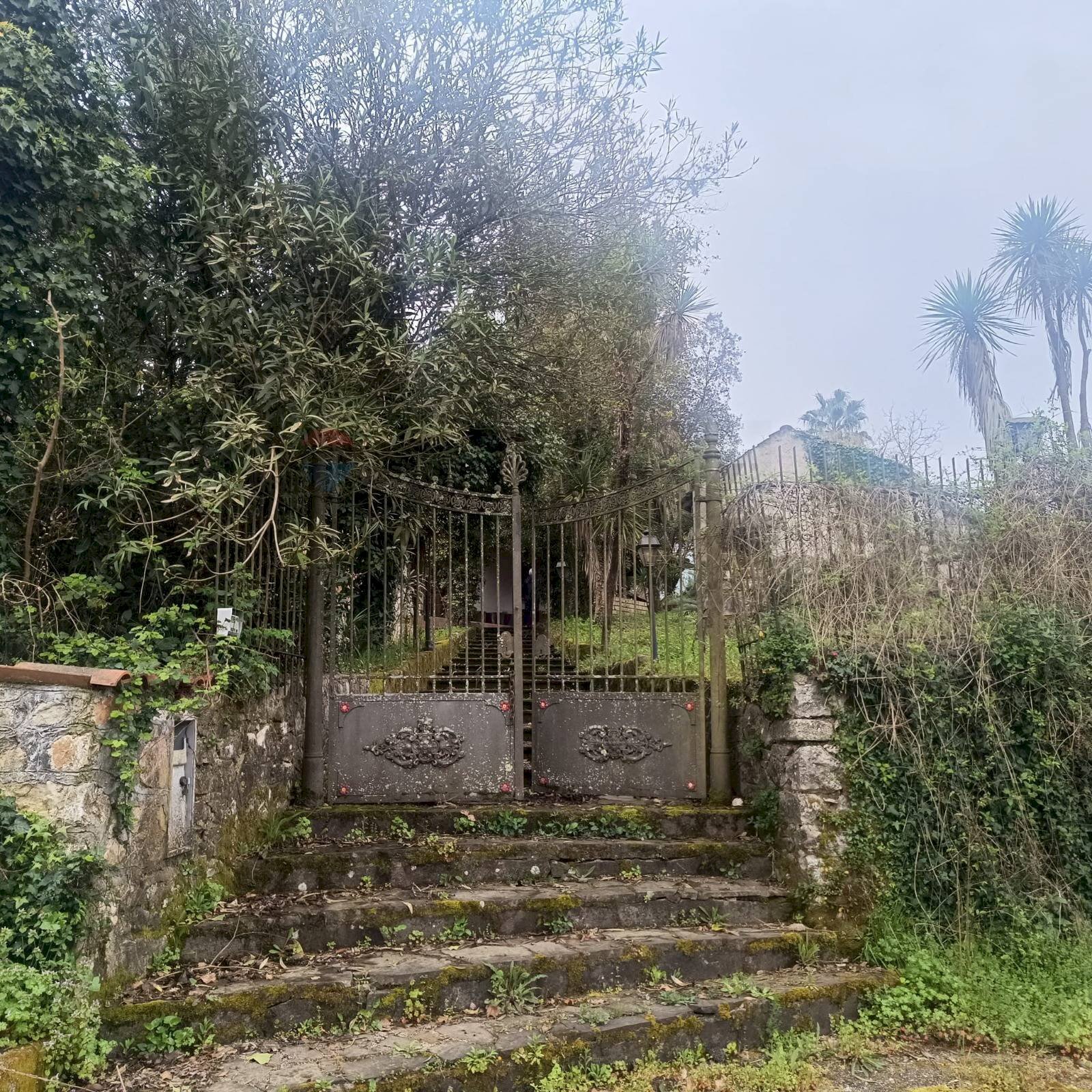 Giardino - Casa indipendente Via Muraglie, Sant'Apollinare - foto 1