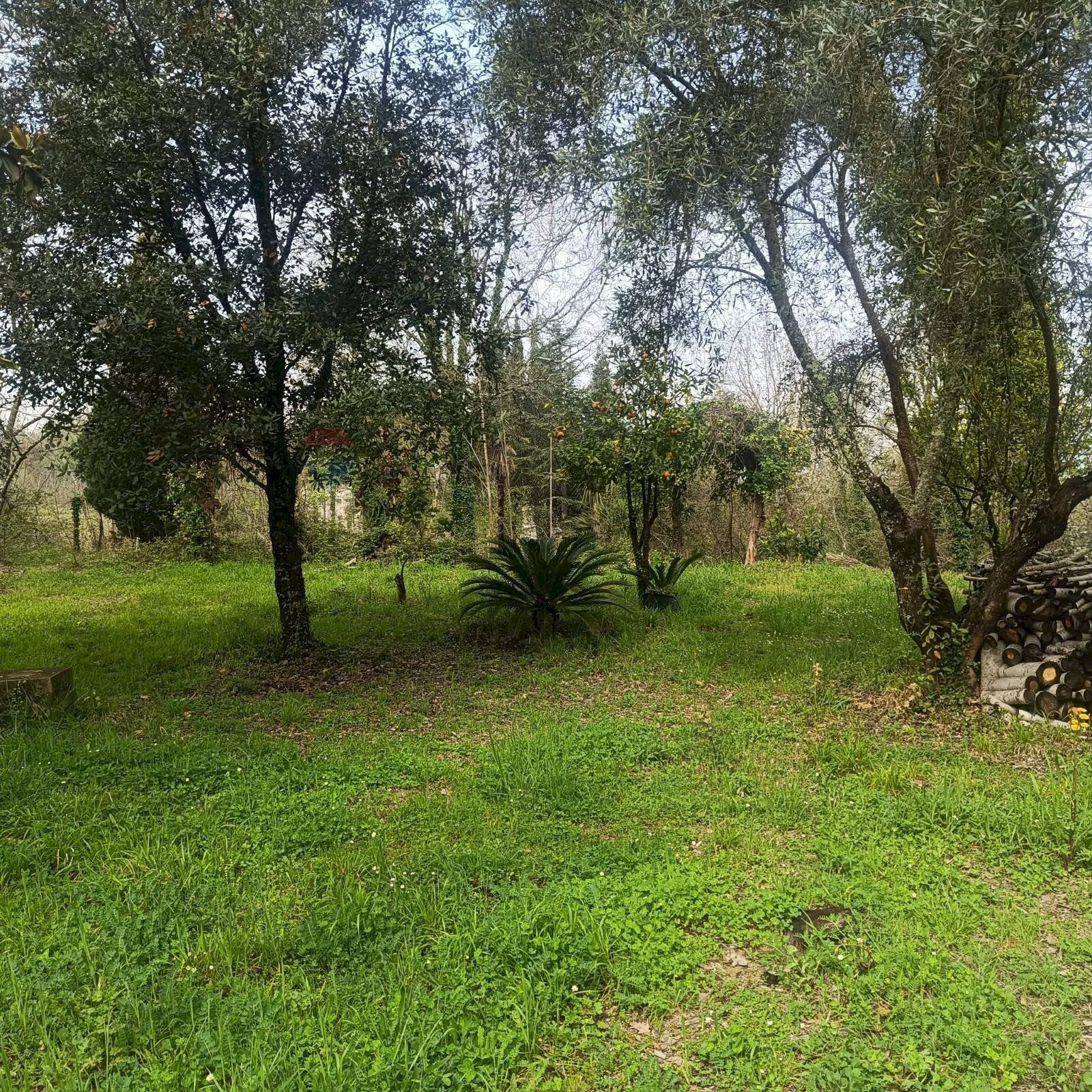 Giardino - Casa indipendente Via Muraglie, Sant'Apollinare - foto 3