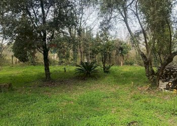 Giardino - Casa indipendente Via Muraglie, Sant'Apollinare - foto 3