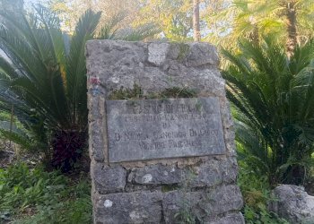 Giardino - Casa indipendente Via Muraglie, Sant'Apollinare - foto 4