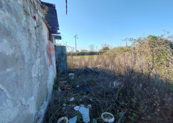 Giardino - Casa indipendente Minturno - foto 10