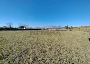 Giardino - Casa indipendente Minturno - foto 12