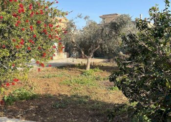 Giardino - Casa semi indipendente VIA CONSONA
 
23, Bagheria - foto 53