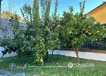 Foto 29 - Casa indipendente Via Murta, Varazze - foto 29