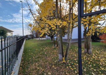 Foto 33 - Villa Via Buonarroti
 
3, Linarolo - photo 33