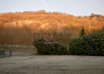 Giardino - Rustico case sparse monte basso, Castell'Arquato - foto 8