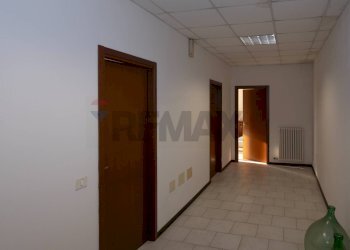 Hall / corridoio - Capannone Strada Pedemontana
 
21/L, Traversetolo - foto 11