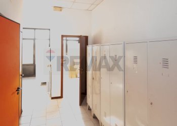 Hall / corridoio - Capannone Strada Pedemontana
 
21/L, Traversetolo - foto 13